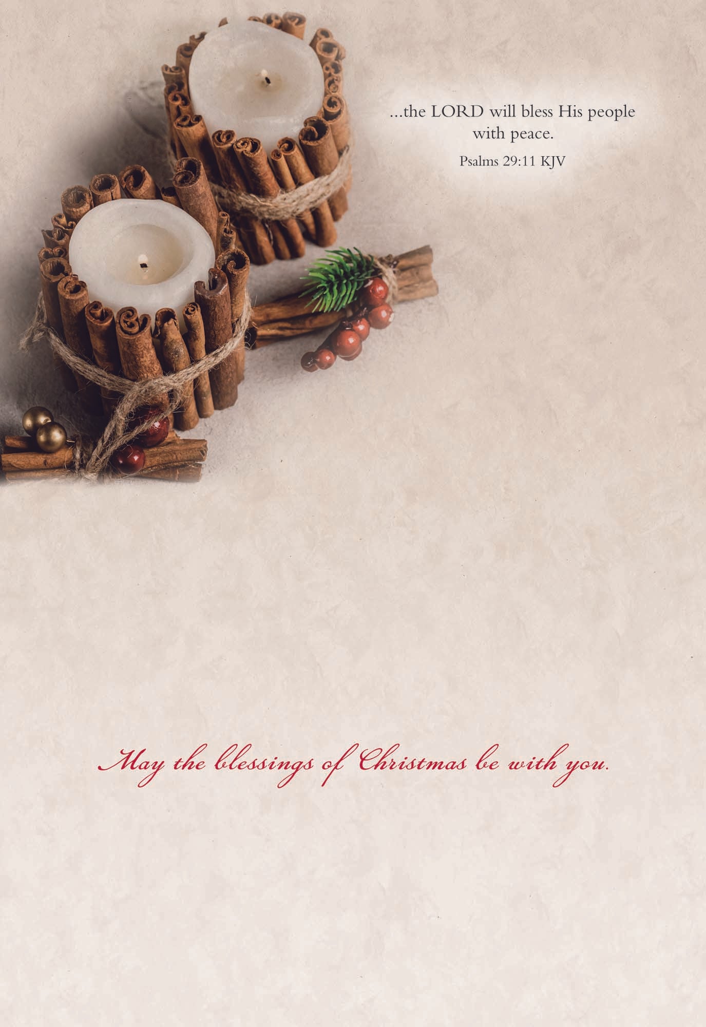 Large Boxed Christmas Card Assortment- Peace and Joy - 24 cards and envelopes