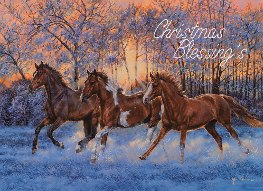 Large Boxed Christmas Card Assortment- Joyful Greetings - 24 cards and envelopes