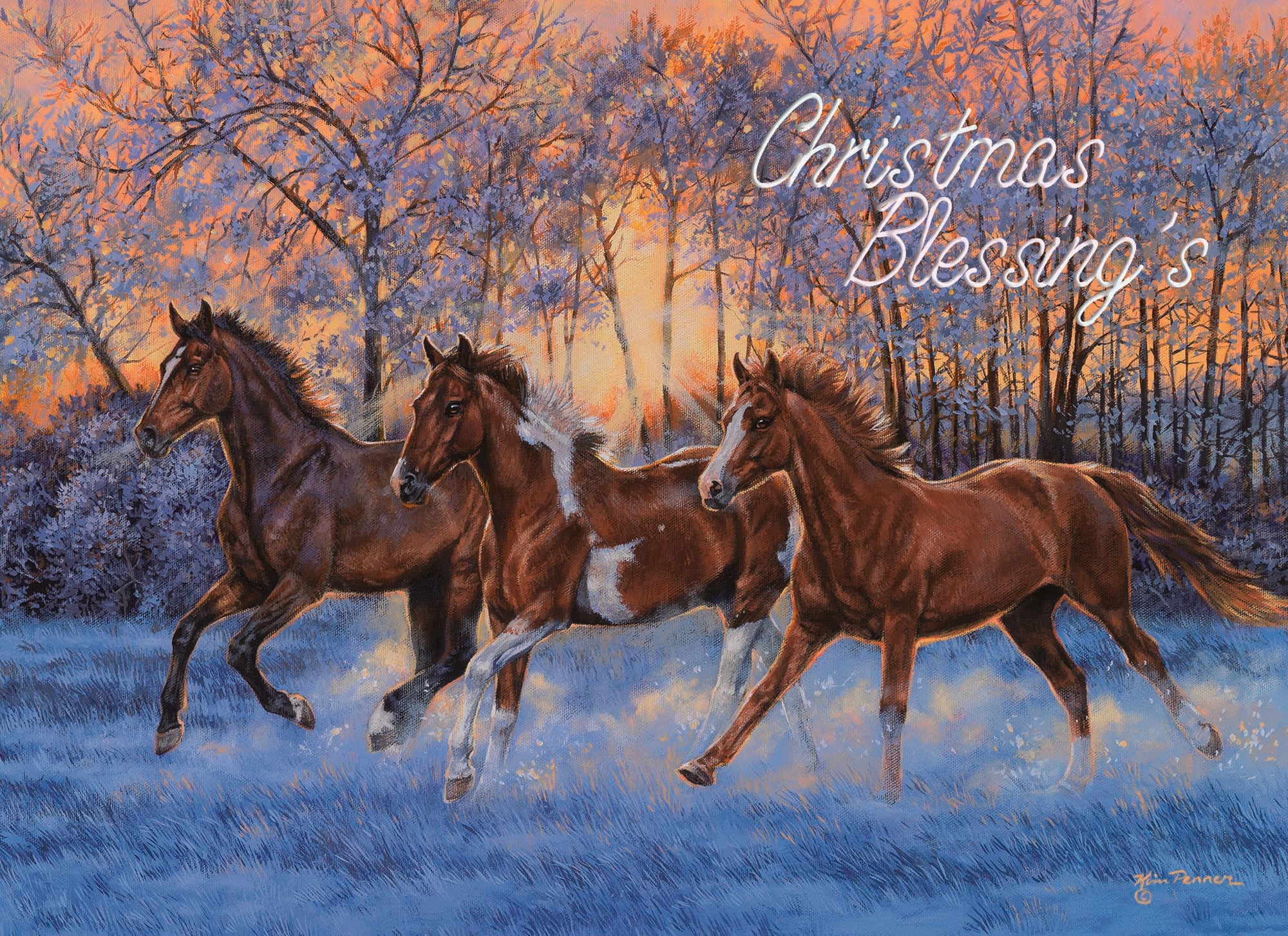 Large Boxed Christmas Card Assortment- Joyful Greetings - 24 cards and envelopes