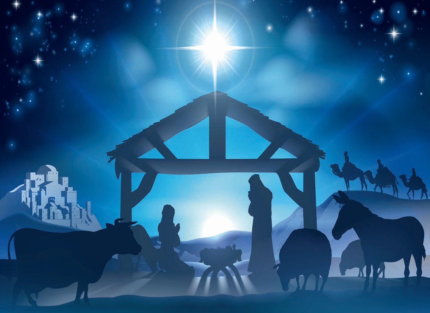 Boxed Christmas Cards - Nativity