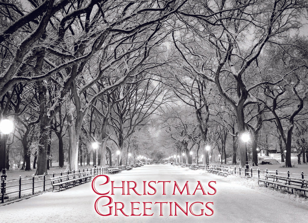 Large Boxed Christmas Card Assortment- Wonder and Joy - 24 cards and envelopes