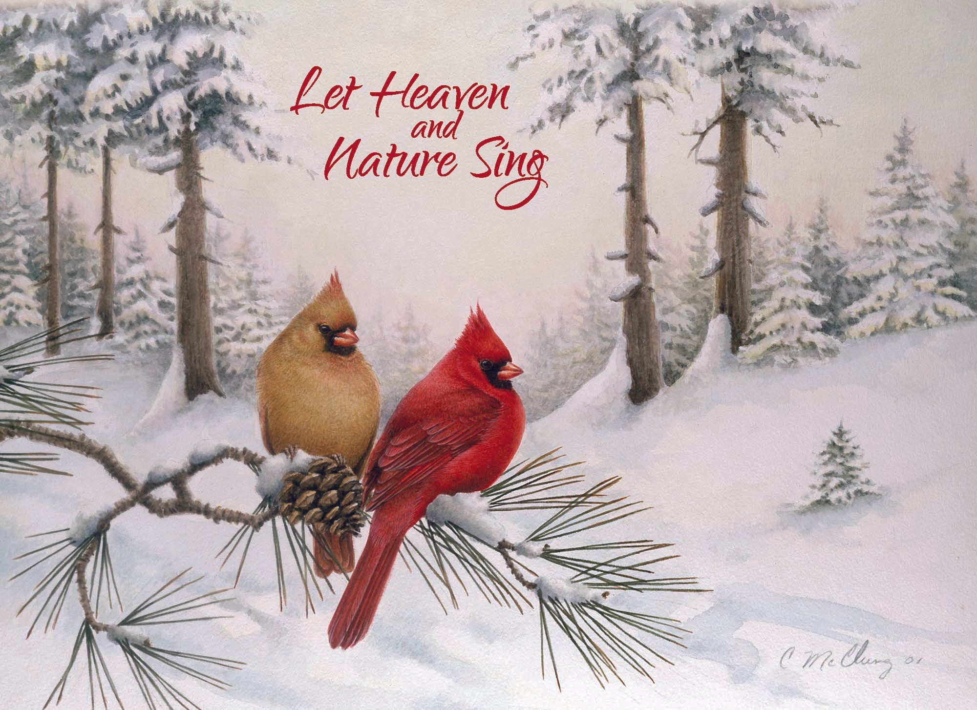 Large Boxed Christmas Card Assortment- Blessings of Christmas - 24 cards and envelopes