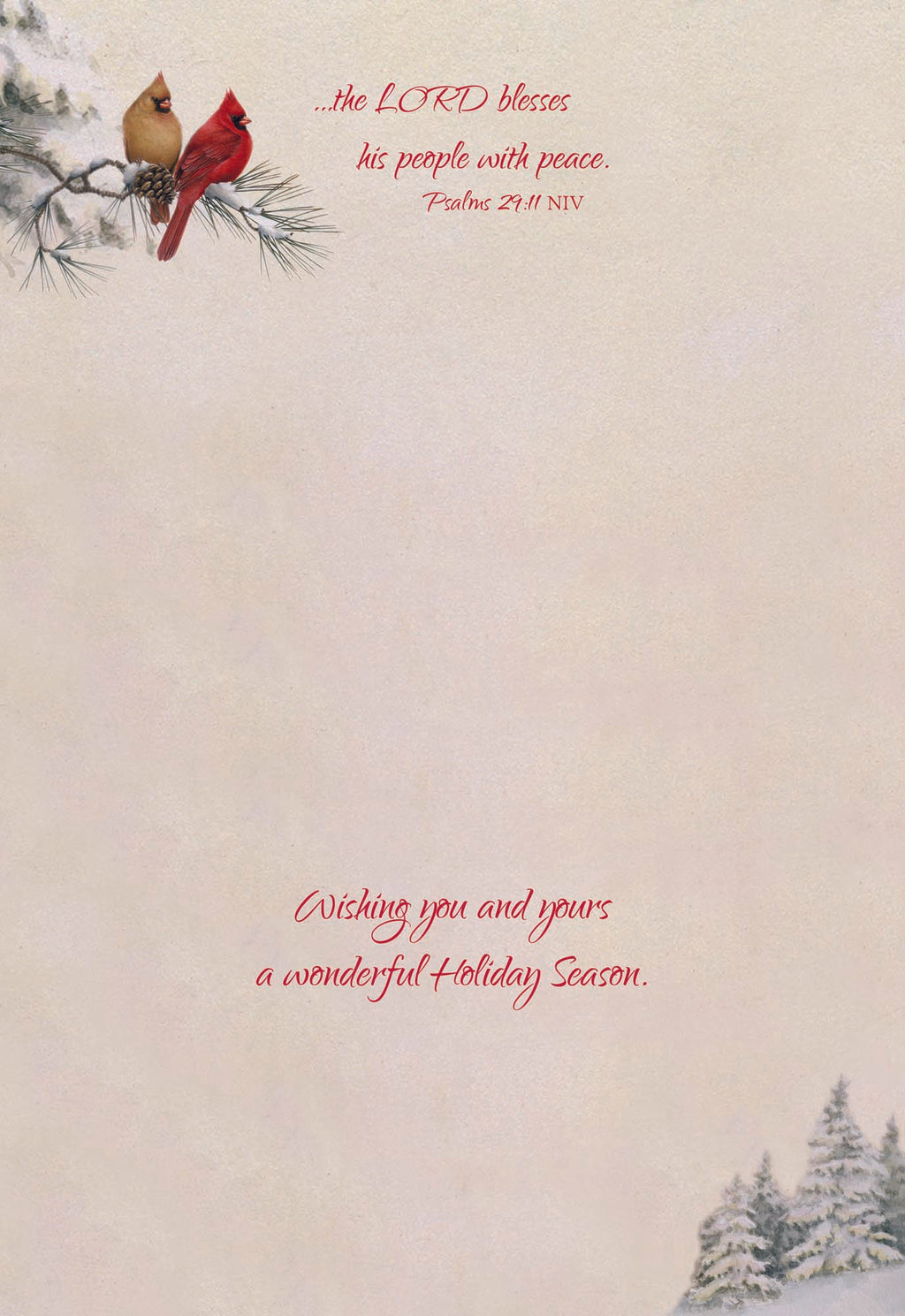 Large Boxed Christmas Card Assortment- Blessings of Christmas - 24 cards and envelopes