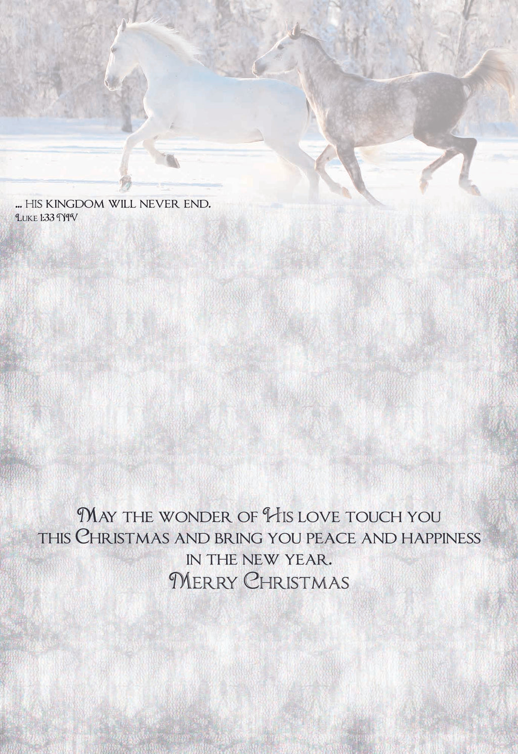 Large Boxed Christmas Card Assortment- Blessings of Christmas - 24 cards and envelopes