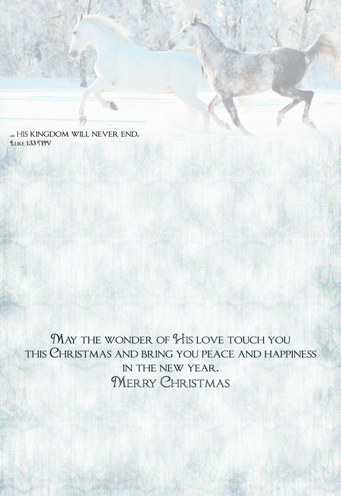 Large Boxed Christmas Card Assortment- Blessings of Christmas - 24 cards and envelopes