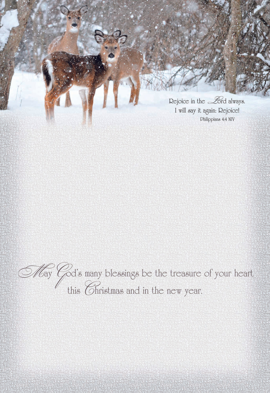 Large Boxed Christmas Card Assortment- Blessings of Christmas - 24 cards and envelopes