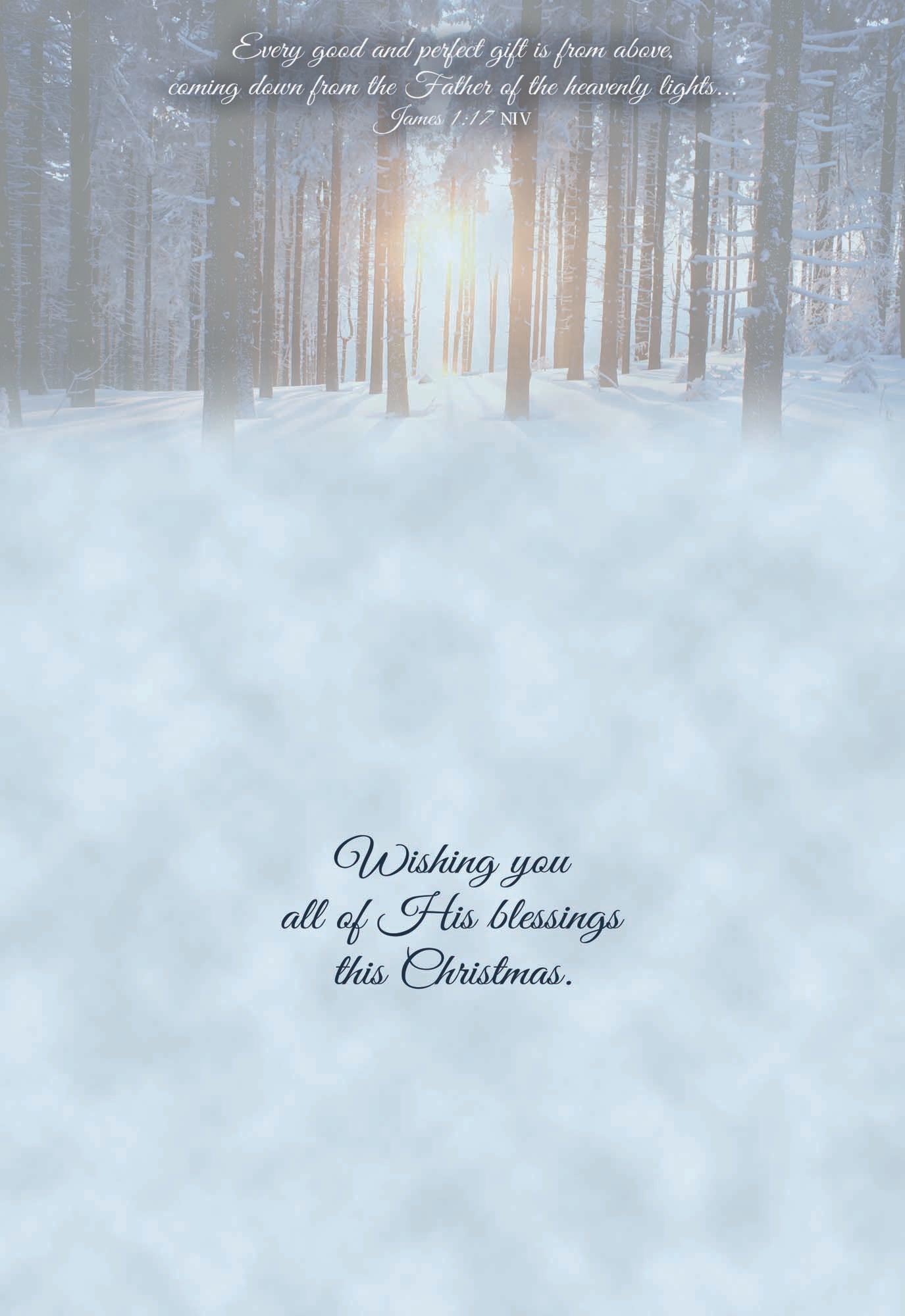 Extra Large Boxed Christmas Card Assortment - Wonderful Time of the Year - NIV- 48 Cards and Envelopes