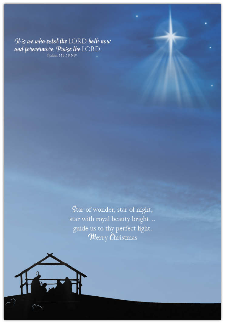 Example of a Christmas Card Assortment - Gifts of Christmas
