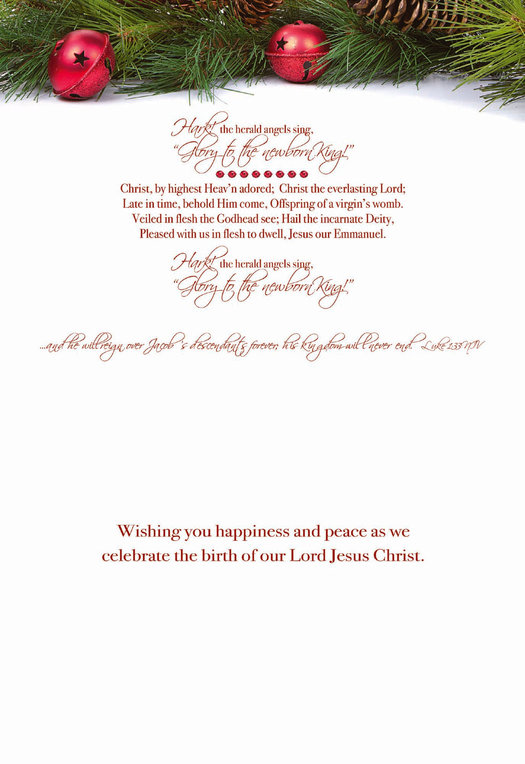 Extra Large Boxed Christmas Card Assortment - Wonderful Time of the Year - NIV- 48 Cards and Envelopes