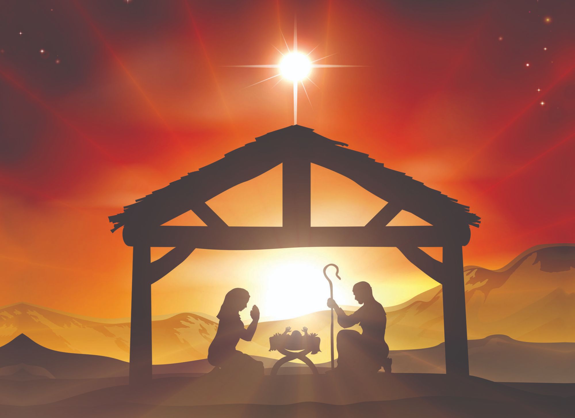 Christian Christmas Cards by Shared Blessings -A Son is Born, 12 NIV Cards and Envelopes