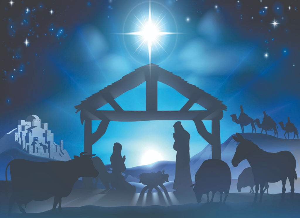 Christian Christmas Cards by Shared Blessings -A Son is Born, 12 NIV Cards and Envelopes