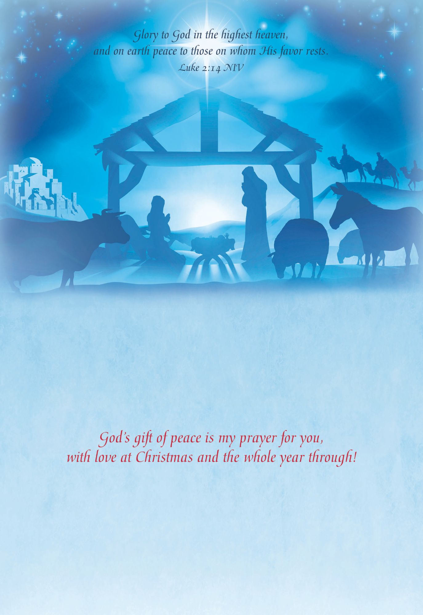 Christian Christmas Cards by Shared Blessings -A Son is Born, 12 NIV Cards and Envelopes