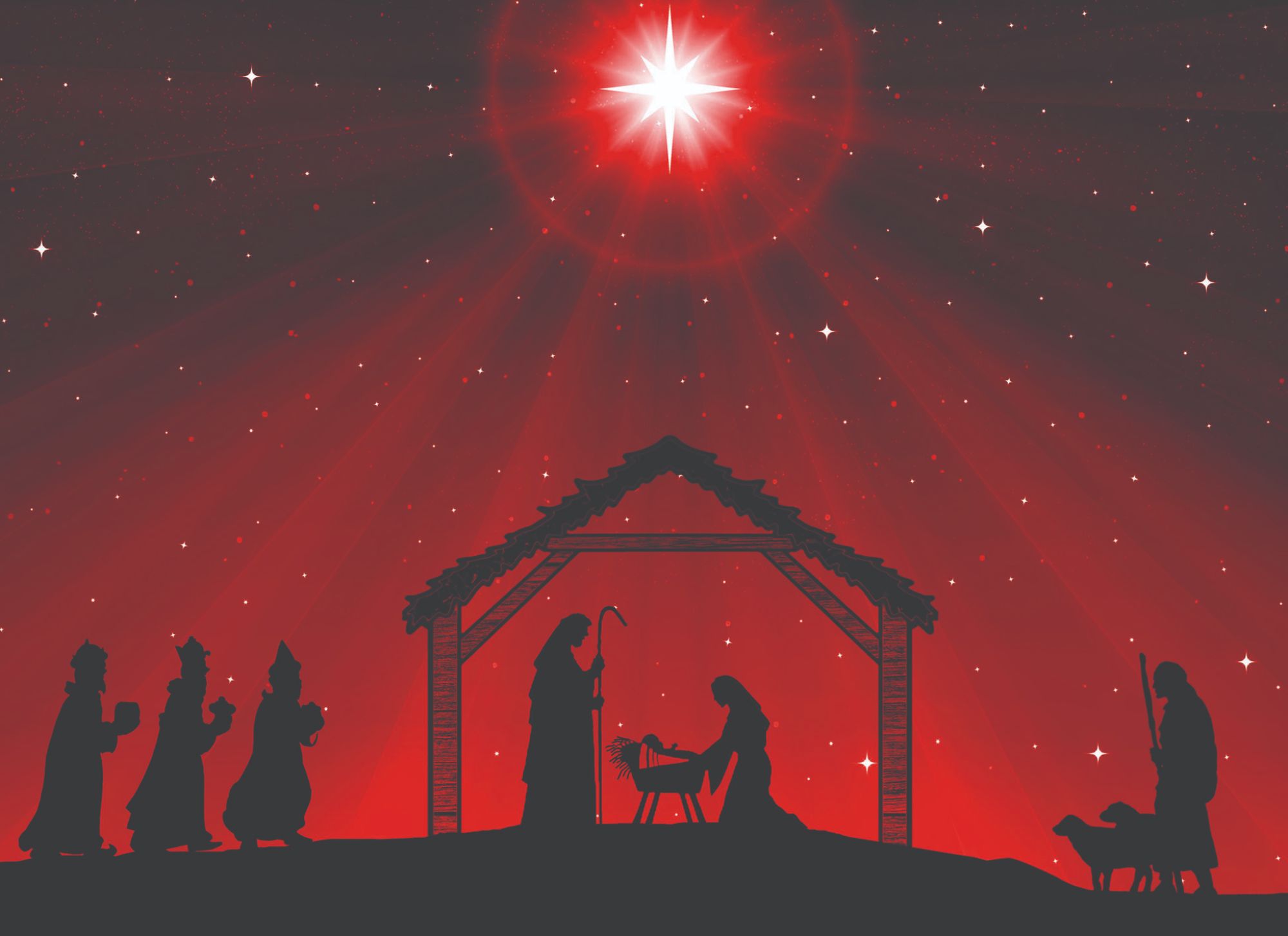 Christian Christmas Cards by Shared Blessings -A Son is Born, 12 NIV Cards and Envelopes