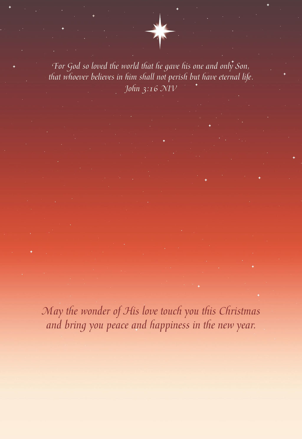 Christian Christmas Cards by Shared Blessings -A Son is Born, 12 NIV Cards and Envelopes