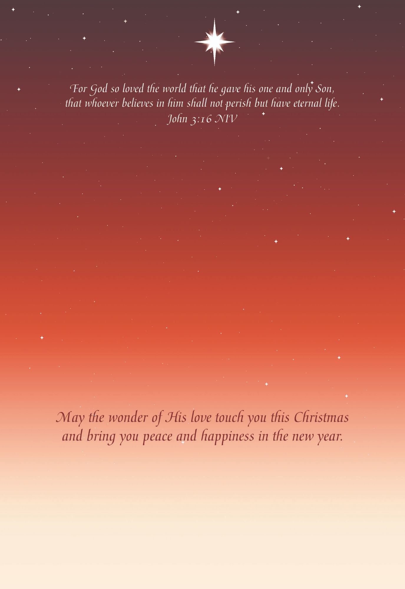 Christian Christmas Cards by Shared Blessings -A Son is Born, 12 NIV Cards and Envelopes