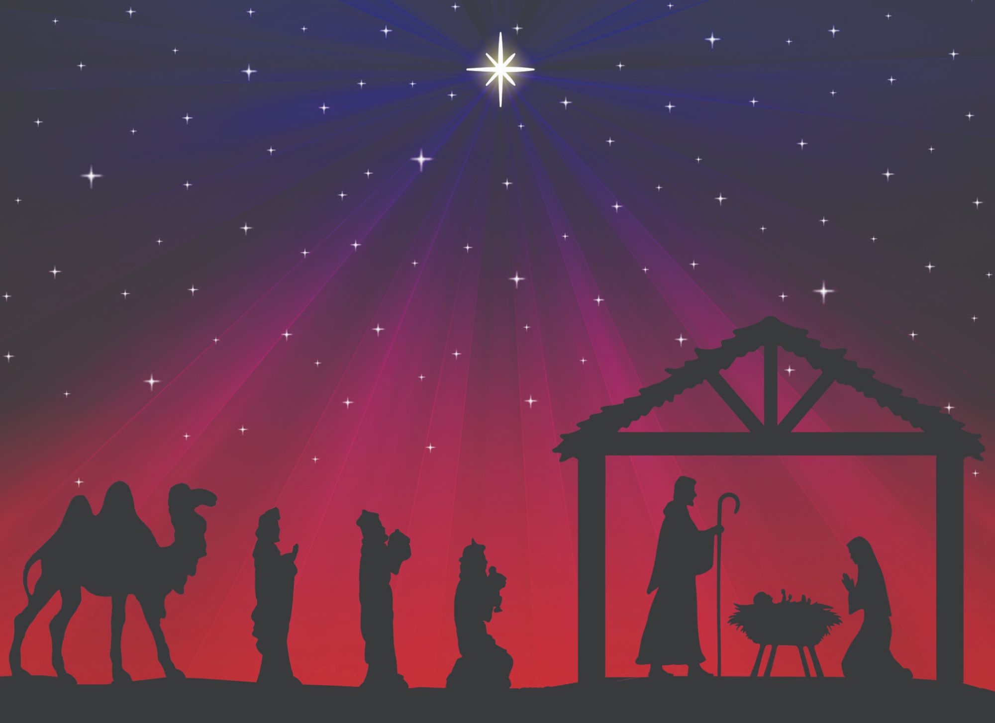 Christian Christmas Cards by Shared Blessings -A Son is Born, 12 NIV Cards and Envelopes