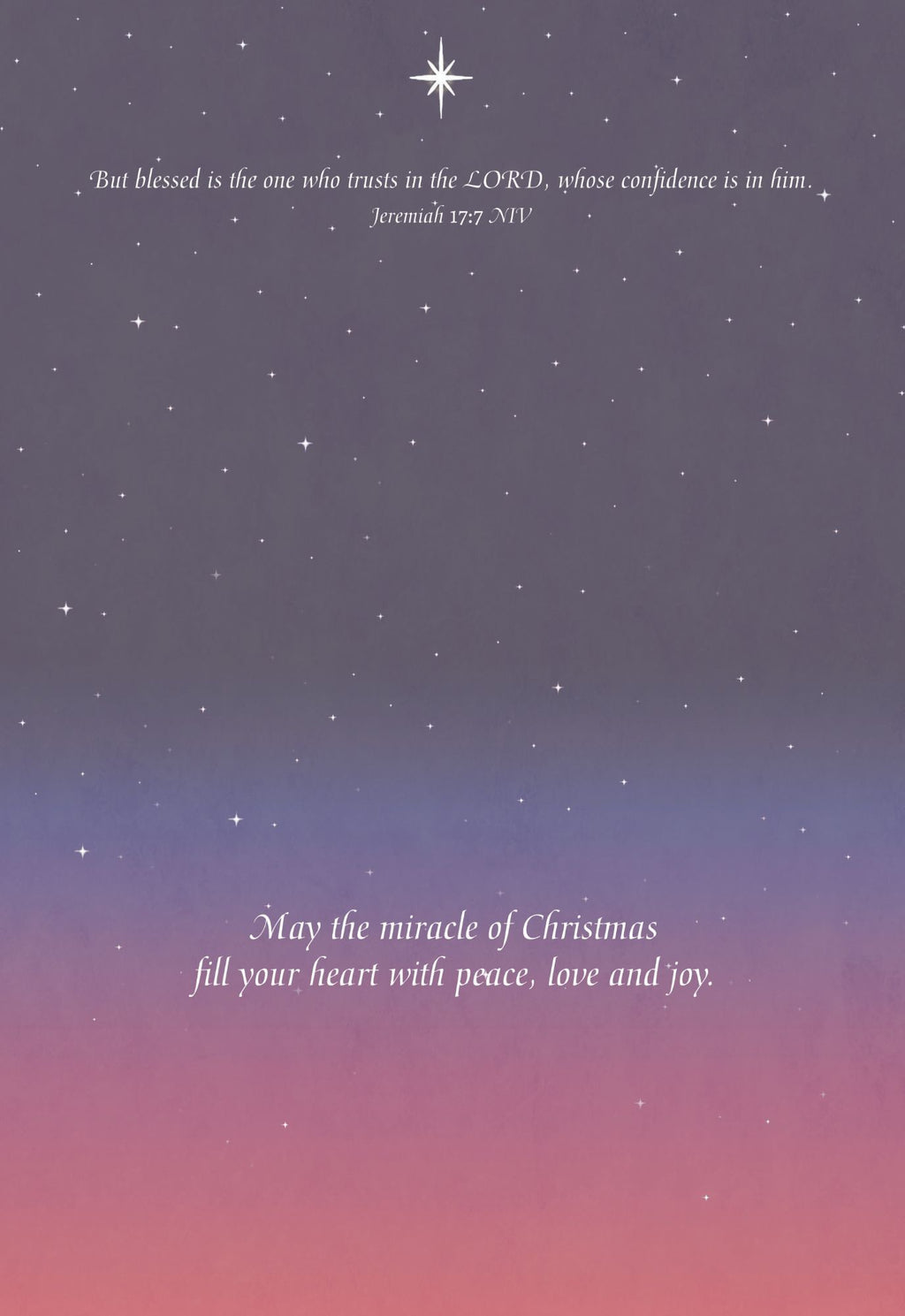 Christian Christmas Cards by Shared Blessings -A Son is Born, 12 NIV Cards and Envelopes