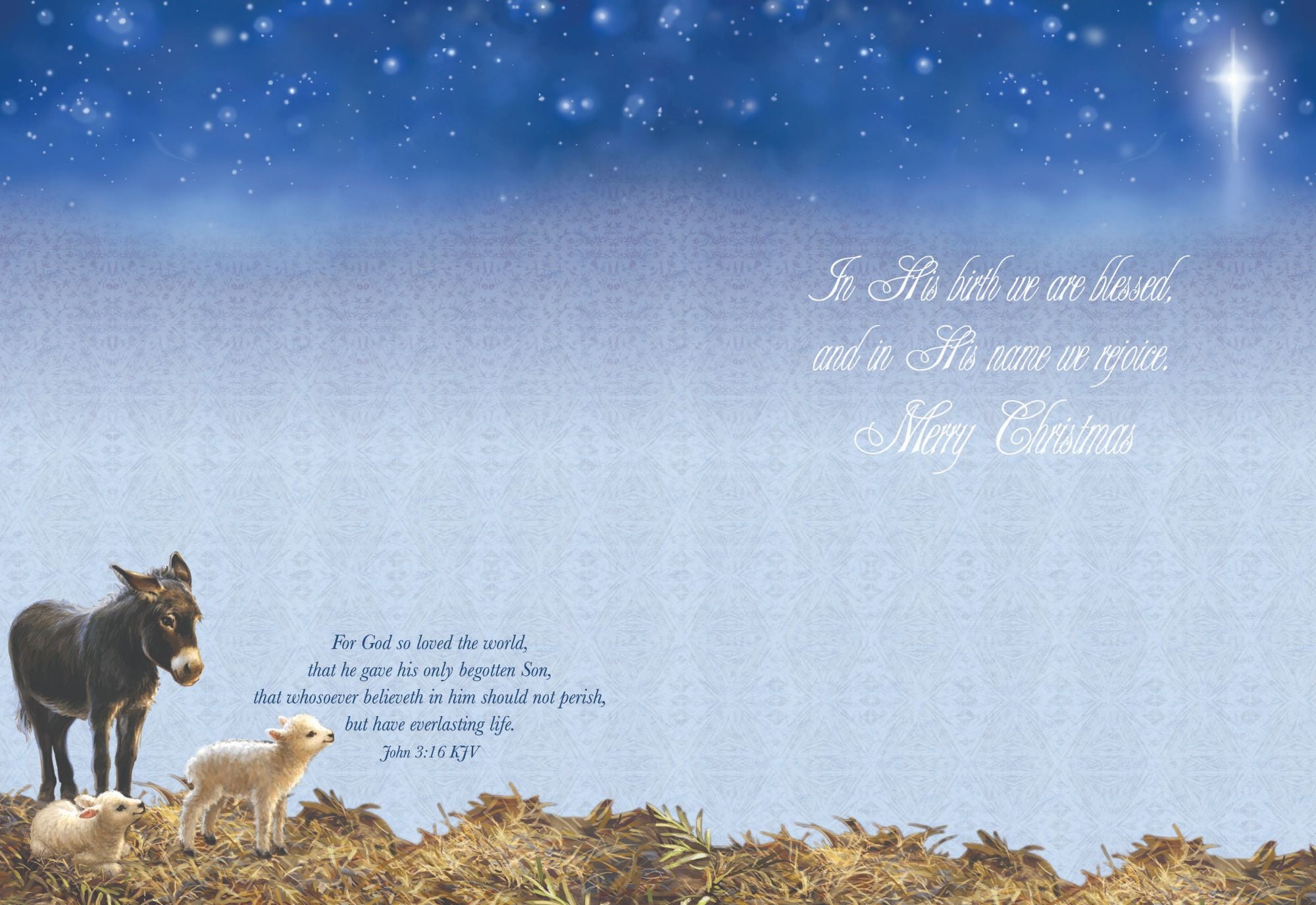 "In His birth we are blessed, and in His name we rejoice. Merry Christmas" card