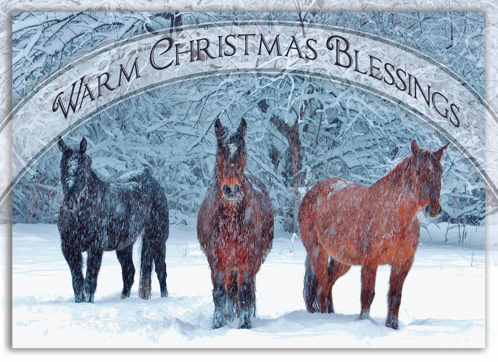 Warm Christmas Blessings Card