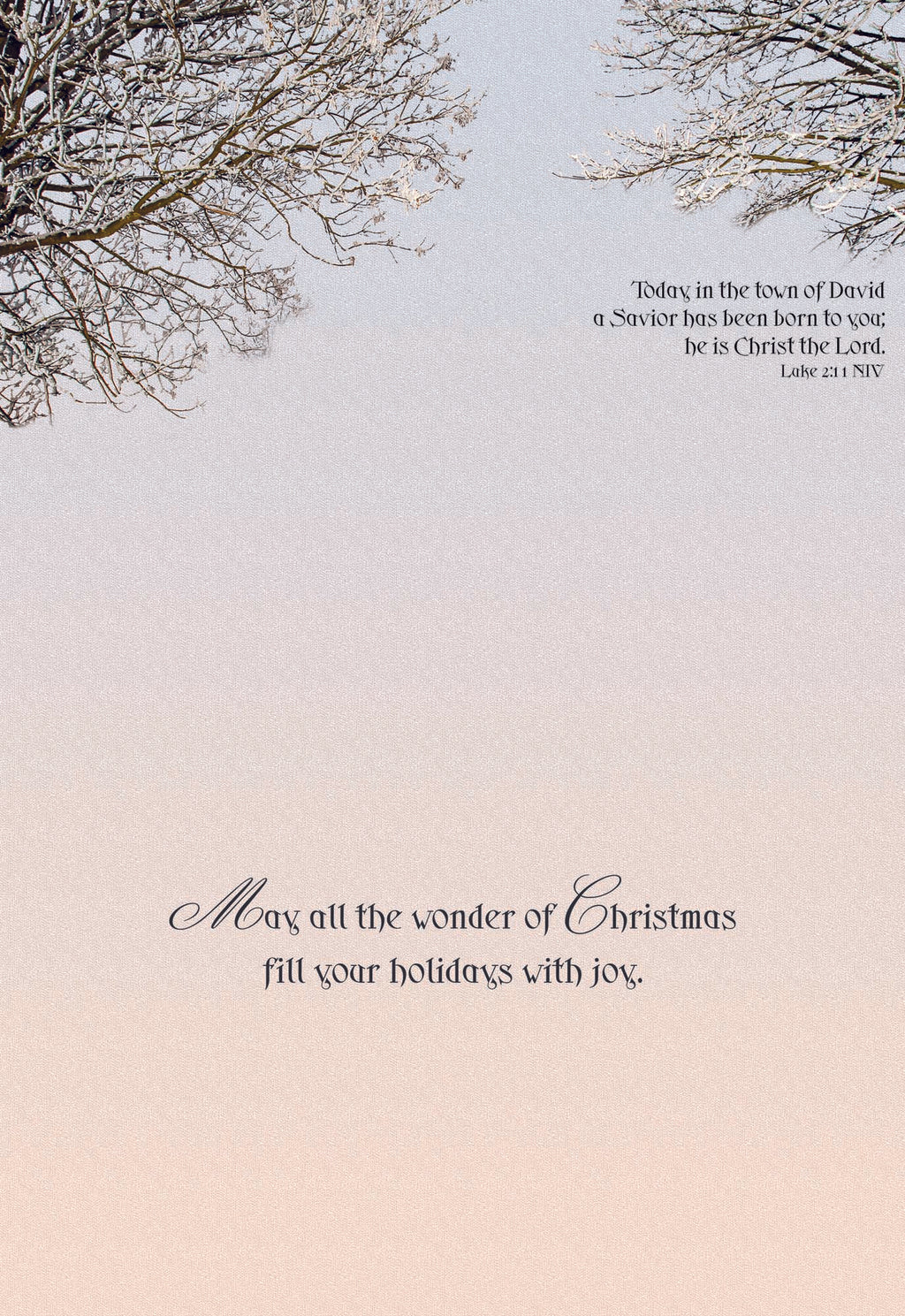 May all the wonder of Christmas fill your holidays with joy.