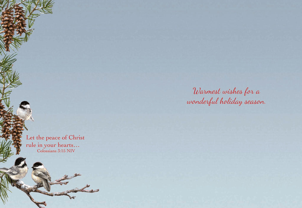 Extra Large Boxed Christmas Card Assortment - Wonderful Time of the Year - NIV- 48 Cards and Envelopes