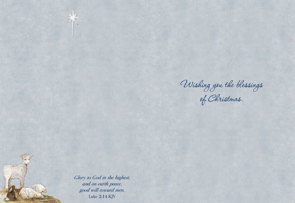 Christian Christmas Cards by Shared Blessings - Holy Night, 12 Assorted Christmas Cards