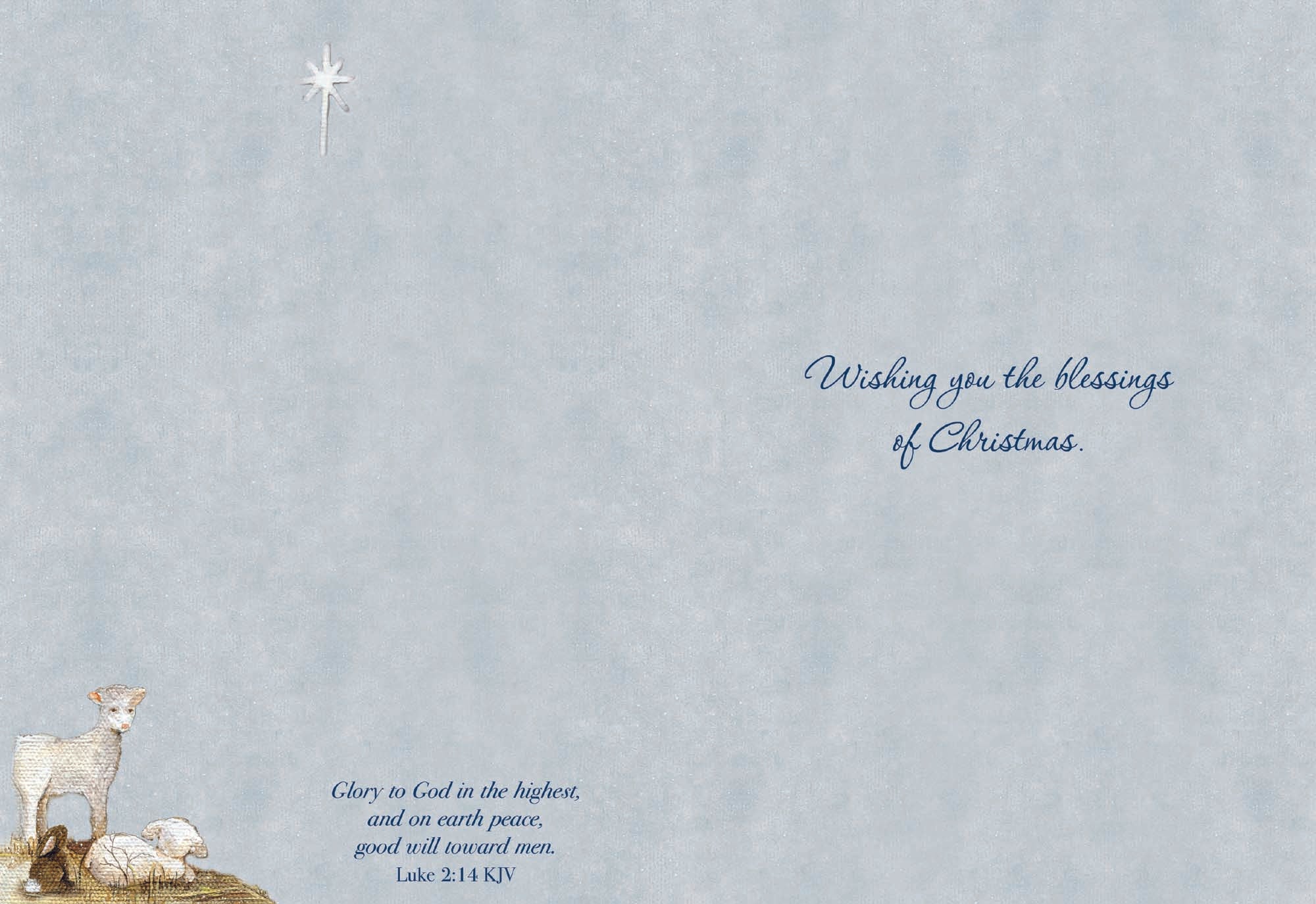 Christian Christmas Cards by Shared Blessings - Holy Night, 12 Assorted Christmas Cards