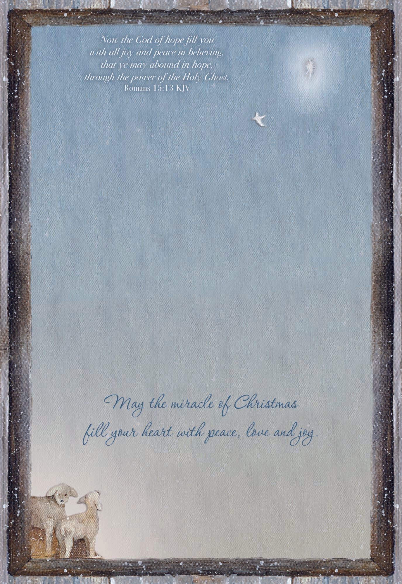 Christian Christmas Cards by Shared Blessings - Holy Night, 12 Assorted Christmas Cards