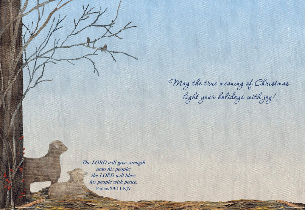 Christian Christmas Cards by Shared Blessings - Holy Night, 12 Assorted Christmas Cards