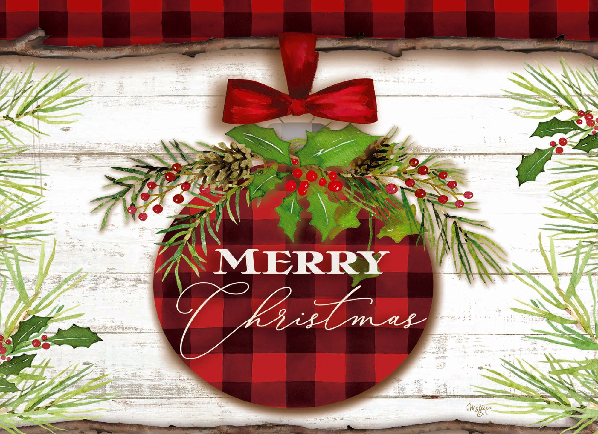 Christian Christmas Cards by Shared Blessings - Joy to the World, 12 Assorted Christmas Cards