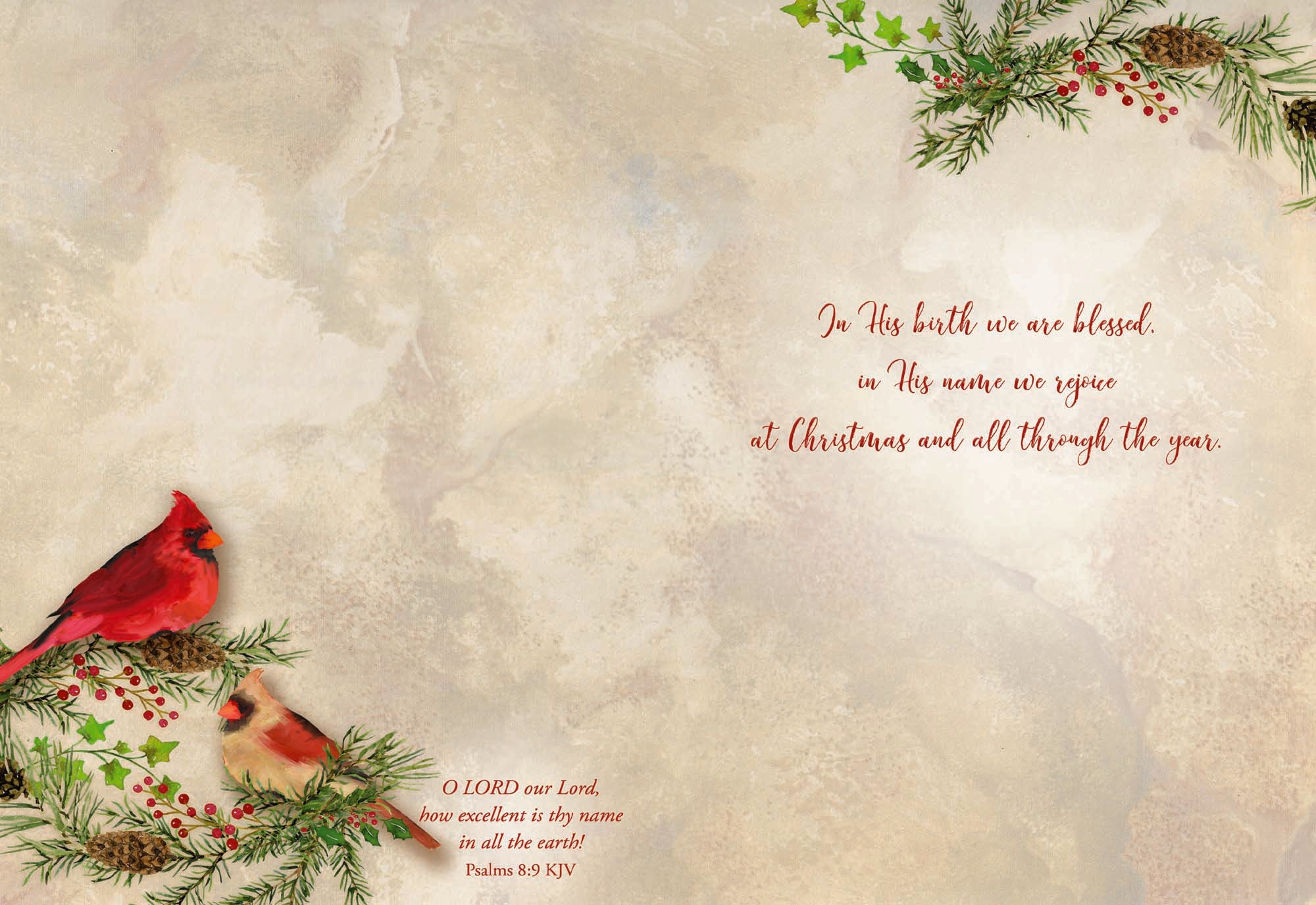 Christian Christmas Cards by Shared Blessings - Joy to the World, 12 Assorted Christmas Cards