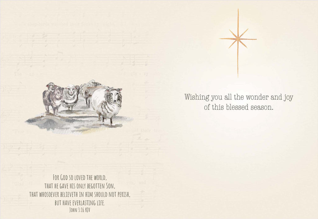 Holy Night Wonders | Religious Christmas Cards by Shared Blessings - 12 Assorted Cards with KJV Scripture