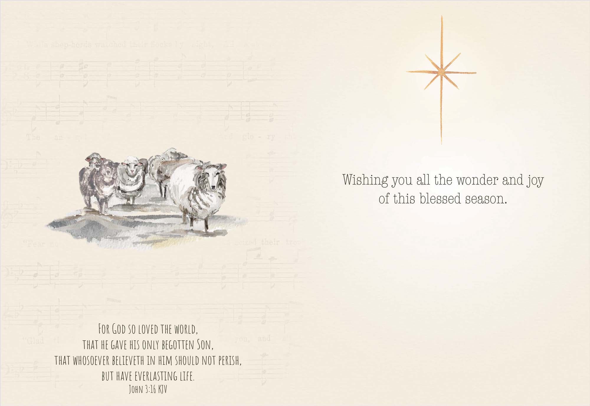 Holy Night Wonders | Religious Christmas Cards by Shared Blessings - 12 Assorted Cards with KJV Scripture