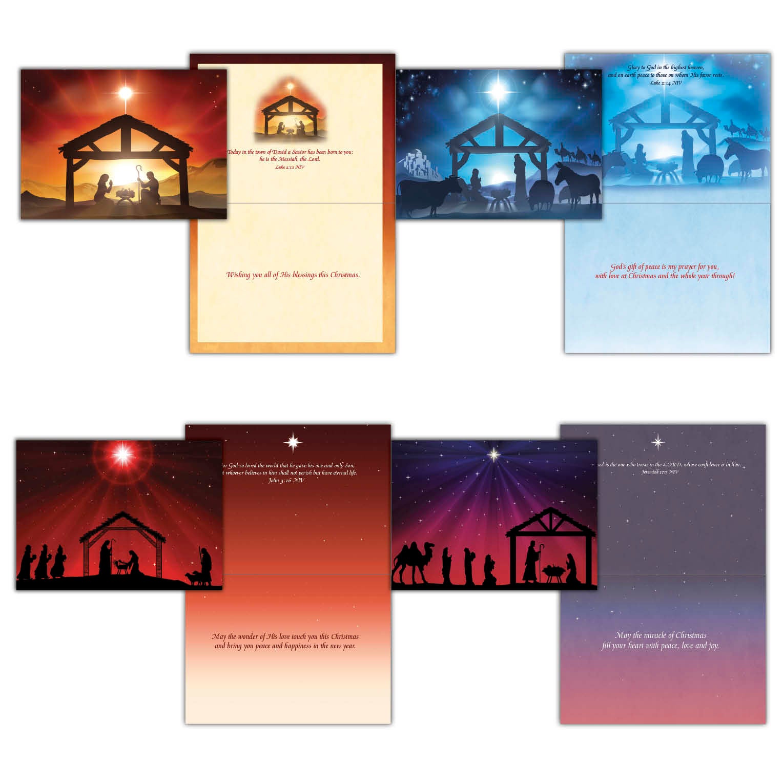 Christian Christmas Cards by Shared Blessings -A Son is Born, 12 NIV Cards and Envelopes