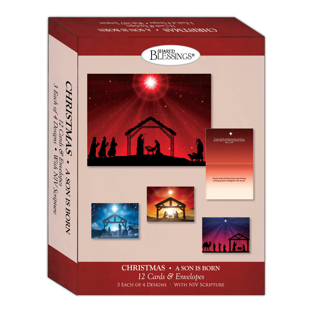 Christian Christmas Cards by Shared Blessings -A Son is Born, 12 NIV Cards and Envelopes