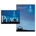 Example of a Peace on Earth Nativity Card