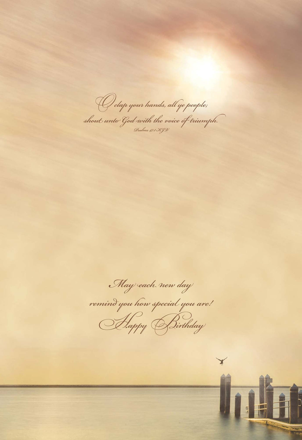 Christian Birthday Cards by Shared Blessings - Celebrations, 48 Assorted Cards