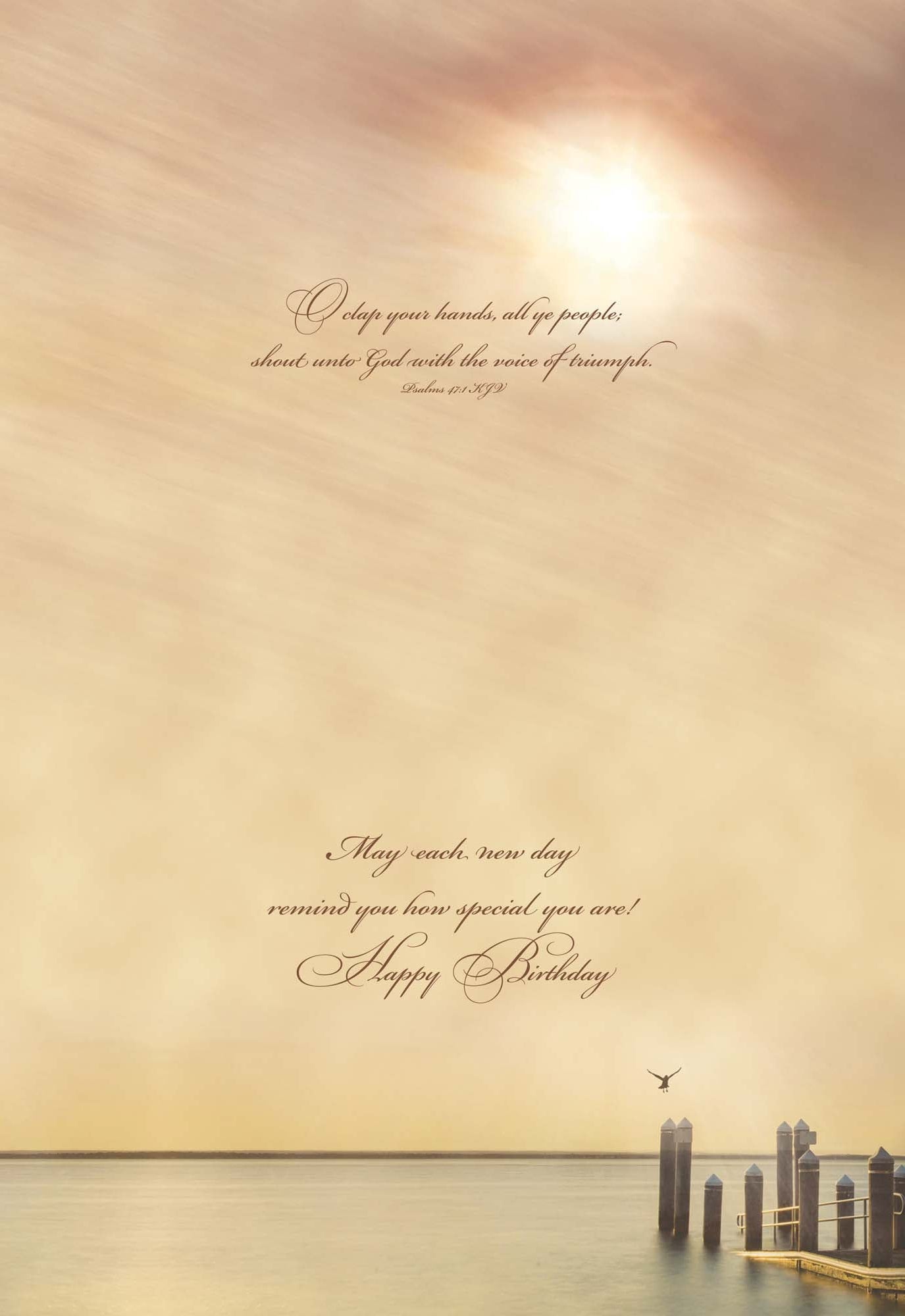 Christian Birthday Cards by Shared Blessings - Celebrations, 48 Assorted Cards