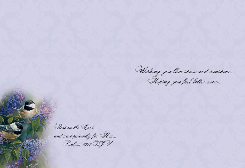 Christian Greeting Cards by Shared Blessings | GET WELL III - Assorted Get Well Cards, Box of 12