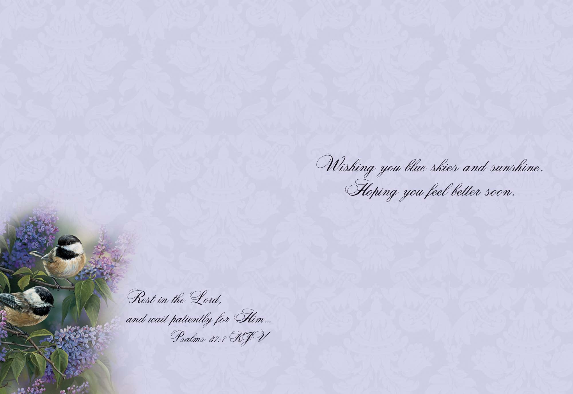 Christian Get Well Cards by Shared Blessings -Thoughts and Prayers - 12 Assorted Get Well Cards