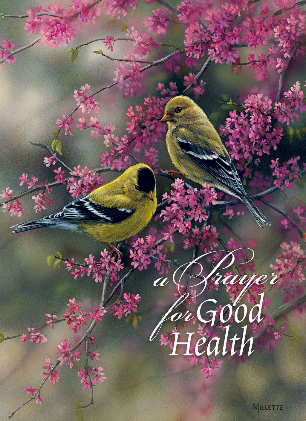 Christian Greeting Cards by Shared Blessings | GET WELL III - Assorted Get Well Cards, Box of 12