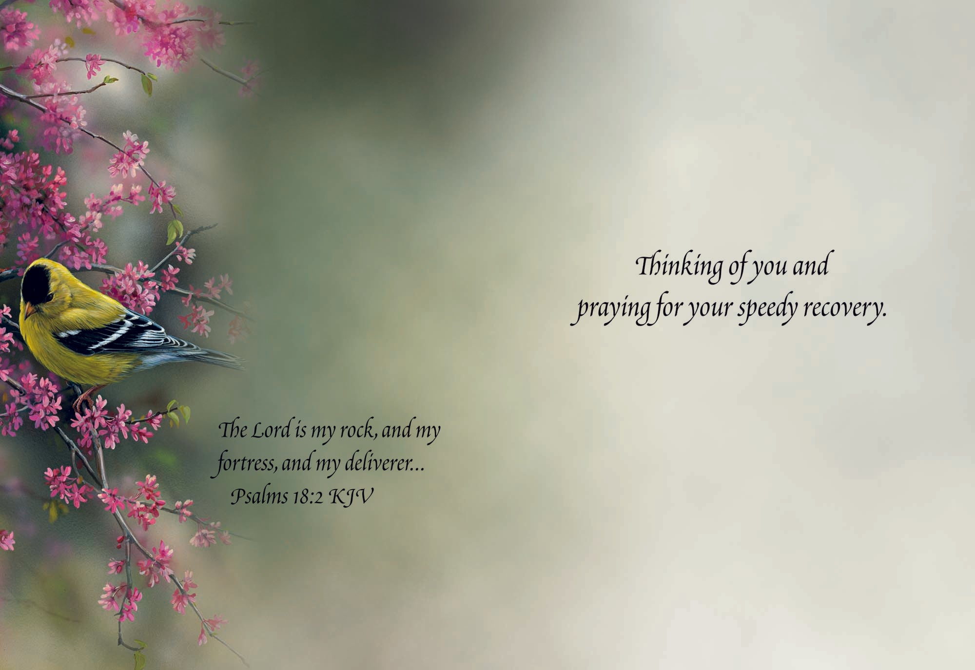 Christian Greeting Cards by Shared Blessings | GET WELL III - Assorted Get Well Cards, Box of 12