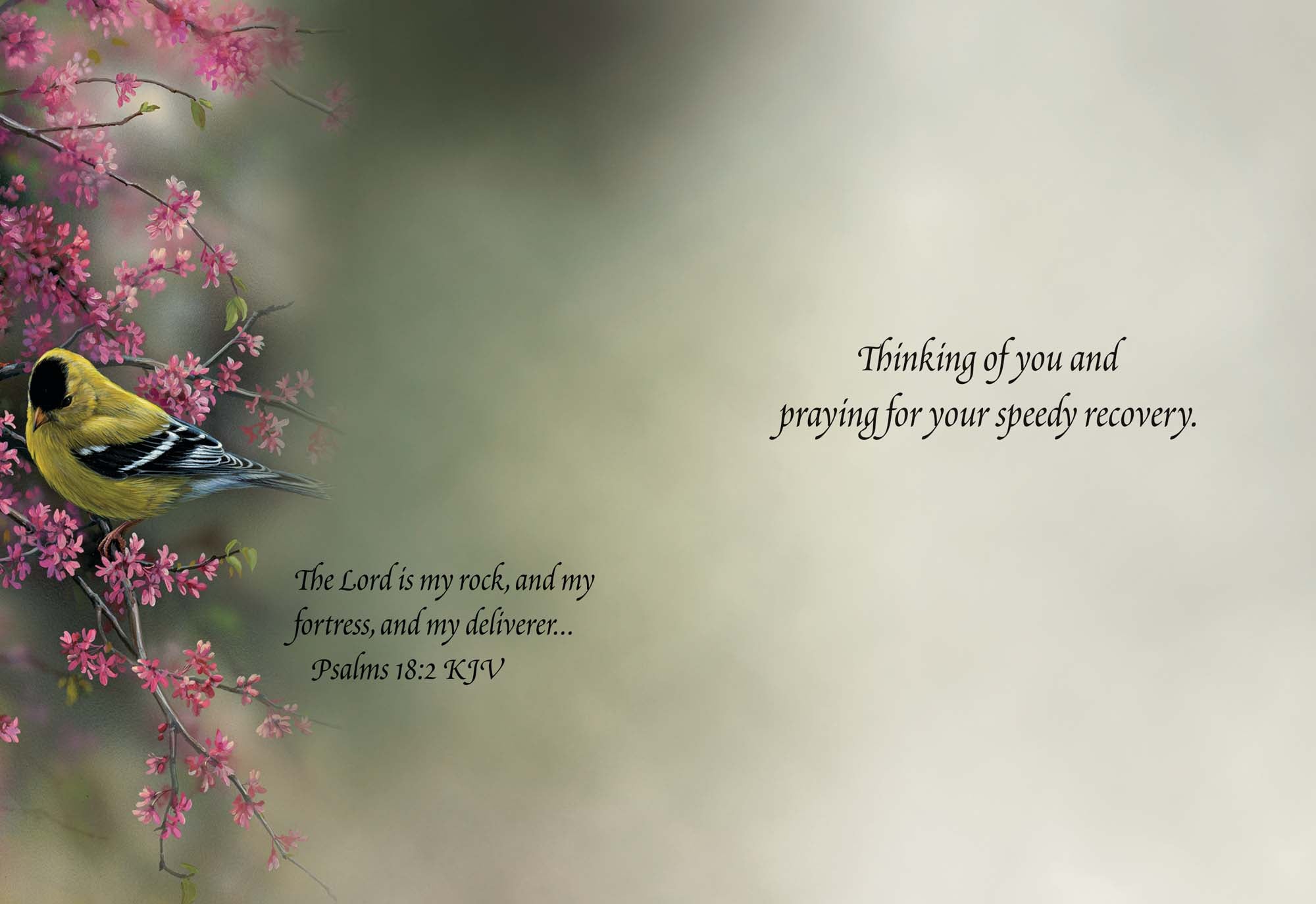 Occasions Get Well and Sympathy - Box of 12 Assorted Get Well and Sympathy Cards by Shared Blessings