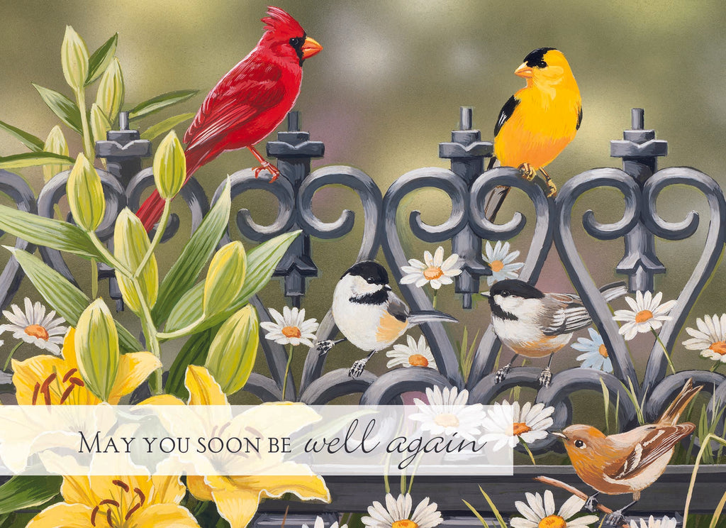 Christian Greeting Cards by Shared Blessings | GET WELL III - Assorted Get Well Cards, Box of 12