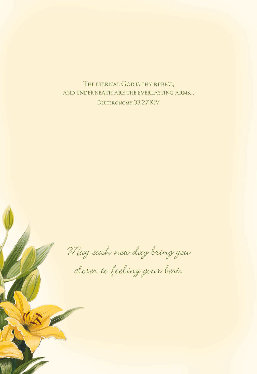 Christian Greeting Cards by Shared Blessings | GET WELL III - Assorted Get Well Cards, Box of 12