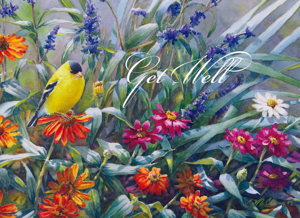 Christian Greeting Cards by Shared Blessings | GET WELL III - Assorted Get Well Cards, Box of 12