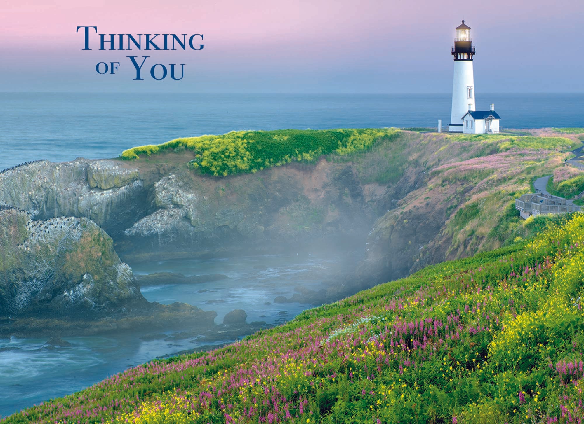 Christian Thinking of You Cards by Shared Blessings- Coastal 12 Cards and Envelopes