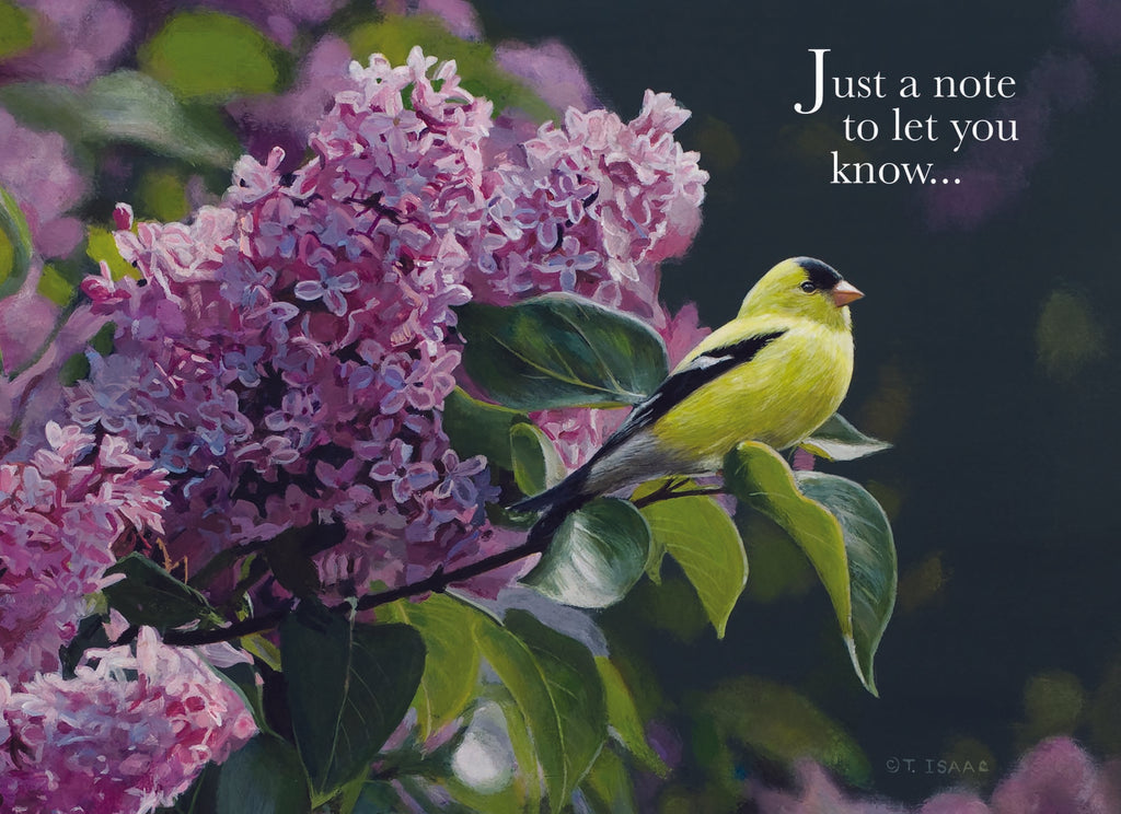 Christian Thinking of You Cards by Shared Blessings, 12 Cards and Envelopes