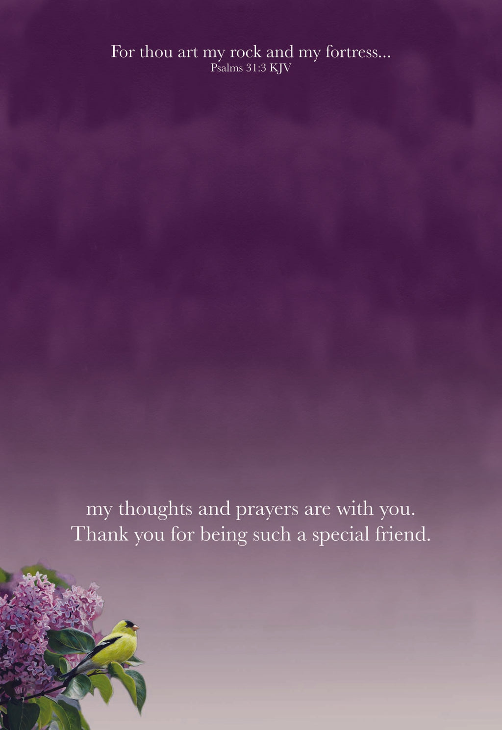 Christian Thinking of You Cards by Shared Blessings, 12 Cards and Envelopes