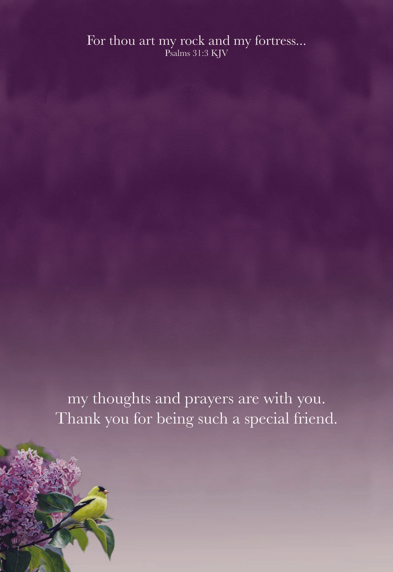 Christian Thinking of You Cards by Shared Blessings, 12 Cards and Envelopes